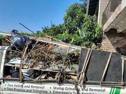 Best Attic Cleanout  in Bisbee, AZ